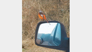 [고양이 눈]망중한