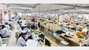 北, 해외파견 15만명 임금 착취 ‘외화벌이’…알자지라 보도