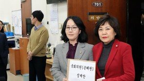 한국당, ‘손혜원·서영교 의혹’ 대대적 공세…호재될까