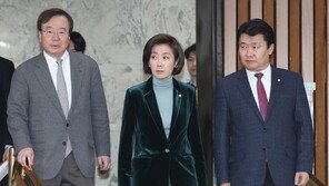 나경원 “황교안 상임고문 추대 무산은 견제 아닌 관행”