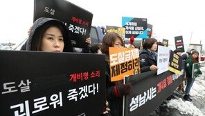 ‘잔혹한 개 도살 멈춰달라’ 청원에 靑 “해당영상 가짜뉴스”