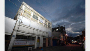 왜 연고도 없는 목포에…與 ‘손혜원 면죄부’에도 의혹 여전