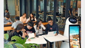 ‘공유오피스 출점경쟁 불붙었다’…오피스빌딩 임대료 상승 우려