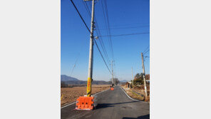 함안군 도로 한복판에 13개 전봇대가 서 있는 까닭은