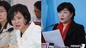 시민단체 “손혜원·서영교 의원, 국민 기만”…검찰 고발