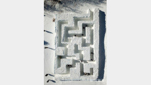 눈 세상에 갇혀볼까… 대관령 눈꽃축제