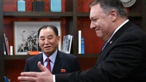 트럼프, 백악관서 김영철 면담…샌더스 “FFVD 진전 논의”