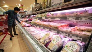 AI 집단폐사도 없는데 생닭 1㎏ 2천원 ‘고공비행’ 왜?