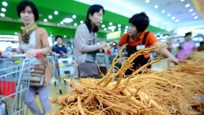 지난해 인삼 수출 2억달러 ‘육박’…중화권서 인기