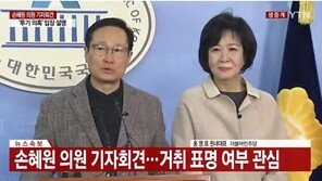 홍영표 “손혜원, 당적 내려놓기로 결정…만류 많이 했지만 의지 강력”