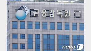 금감원 공공기관 지정 30일 결정…인사 갈등까지 안팎으로 어수선