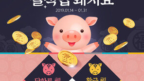 NS몰 ‘2019 설 적립 돼지요’ 프로모션