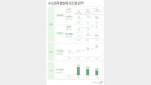 靑, 수소차 추가 구매 검토…수소경제 로드맵 ‘보급이 첫발’