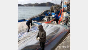 조기잡이 어선 출어 준비