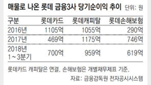 롯데 금융3社 누구 품에?… 한화-금융지주-사모펀드까지 눈독
