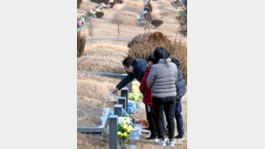 “설 앞두고 미리 성묘왔습니다”
