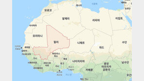 말리서 무장괴한이 유엔 평화유지군 기지 습격…최소 8명 사망