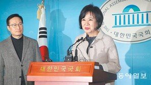 與원내대표도 참석한 손혜원 회견… 야당-언론에 ‘선전포고’