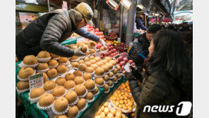 설명절 코앞인데 차례상 물가 ‘고공행진’…배 29%·감 11%↑