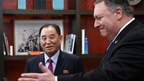 CNN “폼페이오, 상원의원 출마 진지하게 고려 중”