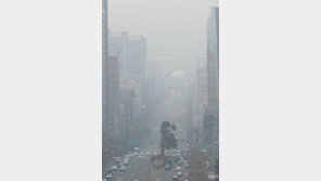 WHO ‘세계 10대 보건 위협’ 발표 …1위는 대기오염·기후변화