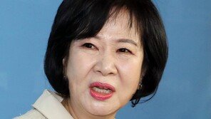 곽상도 “손혜원 前보좌관 홍은동 사저 매입…배경 따져봐야”