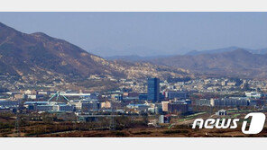 北매체, 개성공단 거론하며 “우유부단한 南에 실망”