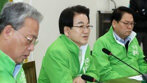 손혜원 ‘박지원 저격’에 평화당 “반성커녕 막말” 비판 ‘봇물’
