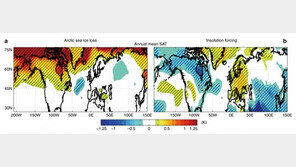 5000년~9000년 전 녹은 북극 해빙, 북반구 온도 바꿨다