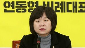이정미 “민주-한국, 손혜원으로 은근슬쩍 서영교 덮으려 해”