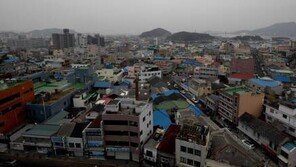 목포시의원 “손혜원 의혹, 투기 아니라는 의견 多…제2의 전주한옥마을 기대”