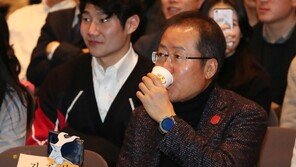 홍준표, 황교안·오세훈 겨냥 “숟가락만 들고 덤벼” 지적