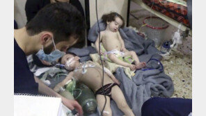 EU, 러시아·시리아인 9명과 시리아 기관 1곳 경제제재