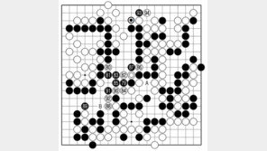 [바둑]알파고 vs 알파고 특선보… 평정심을 잃은 흑