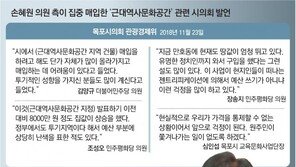 손혜원 “재단 부동산 국고 귀속”… 정부 “100%는 아니다”