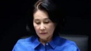 전여옥, 손혜원 옹호 정청래 힐난 “열정같은 소리 하고 있네”