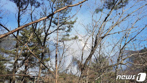 태백 산불 0.1ha 태우고 3시간 30분만에 진화…잔불 정리 중