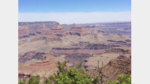 그랜드캐니언 추락 의식불명 韓청년 병원비만 10억…모금운동 전개