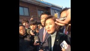 목포 찾은 나경원 “불투명한 부분 밝힐 것”…손혜원 “같이 가자니까”