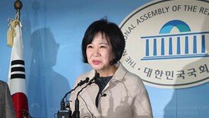 손혜원, 내일 목포서 기자간담회…“빅카드 발표는 없다”