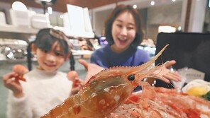 1kg에 30만원… 도화새우의 맛있는 유혹