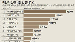 中관광객들 “명동보다 포장마차-템플스테이 좋아”