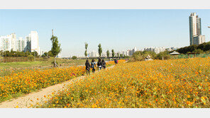 구로구 “안양천 일대에 생태공간 조성”