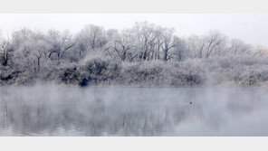 그림 같은 소양강 상고대