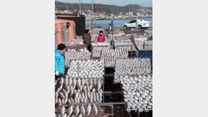 설 제수용 생선 말리기 분주