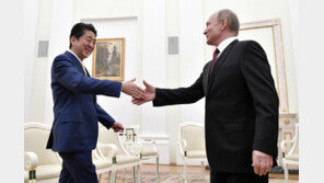 아베-푸틴, 쿠릴 섬 영유권-평화조약 신경전