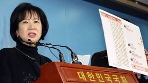 靑, ‘손혜원 목포 투기의혹’에 “민정, 현역의원 감찰 불가”