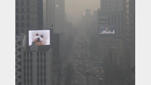 기상청 “2월 큰 추위 있을 듯…대체로는 평년 수준”