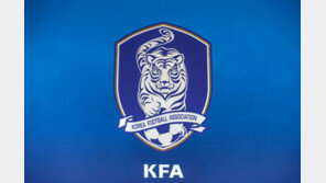 대한축구협회, 여자축구계 성폭력 전수조사 착수