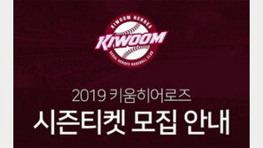 키움 히어로즈, 2019 시즌티켓 판매